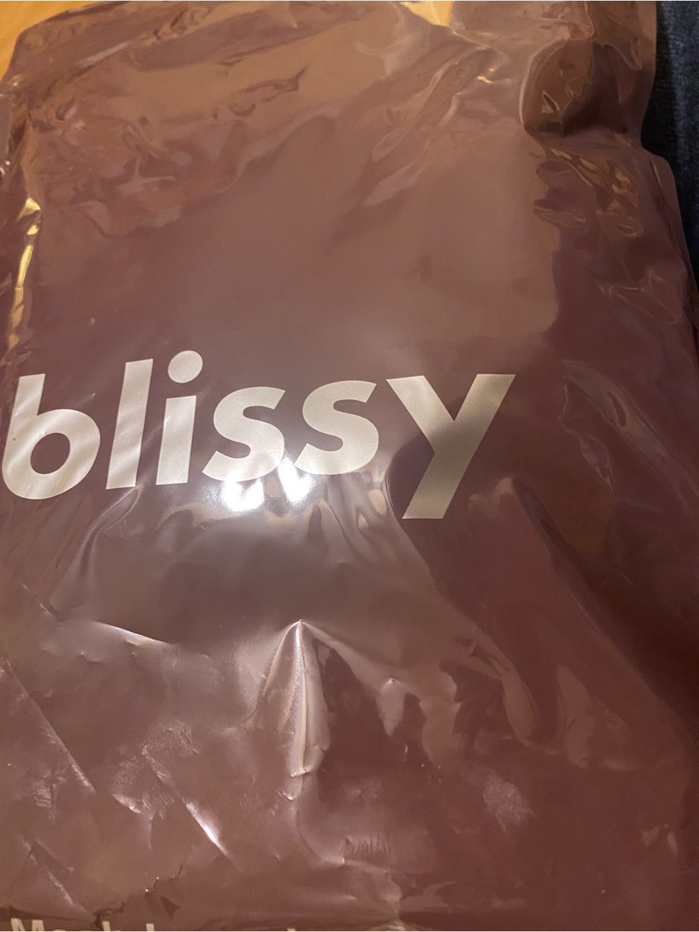 Blissy Laundry Mesh Bag in Dusty Rose